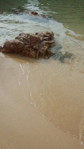 t02200391_0540096012711209010