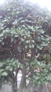 t02200391_0540096012733969417